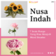 Bunga yang Jadi Mood Booster
